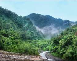 It consisted of two larger parts which are Serranía del Darién mountains and the Atrato River floodplains.